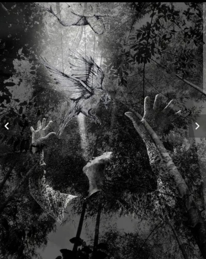 Photograph by María Claudia Salcedo