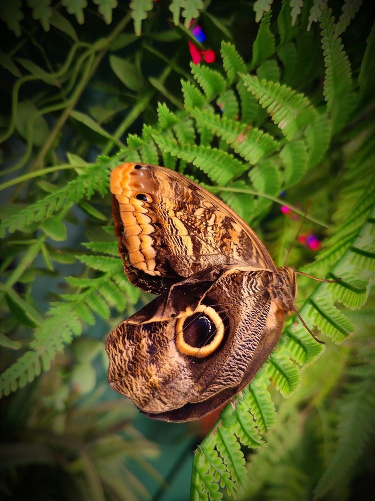 Photograph by Дмитрий Коновалов