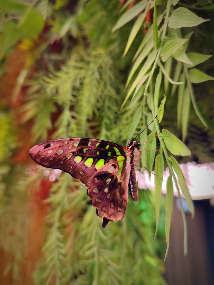 Photograph by Дмитрий Коновалов