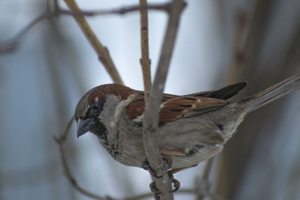 Photograph by Светлана Тарханова