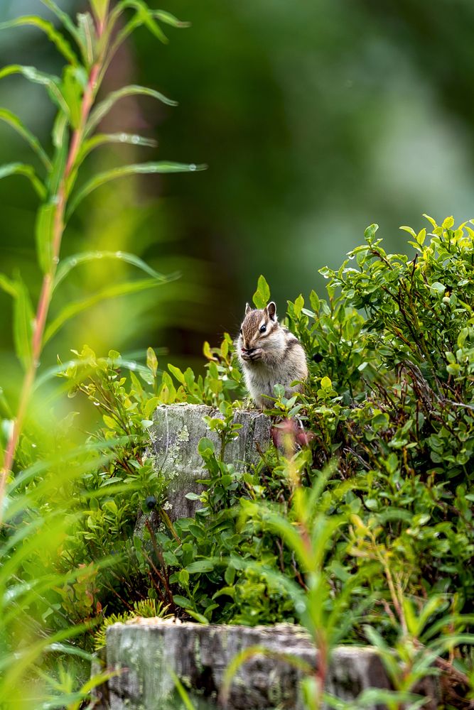 Photograph by Алексей Торлопов