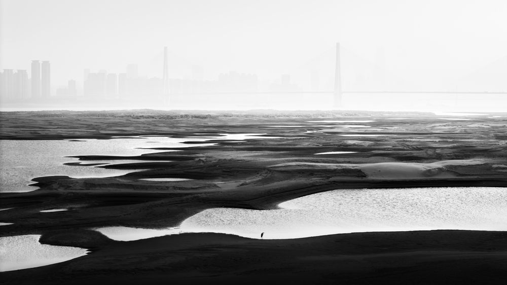 Photograph by Yingzhen Dai