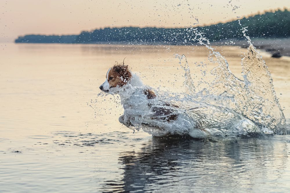 Photograph by Мария Новоселецкая