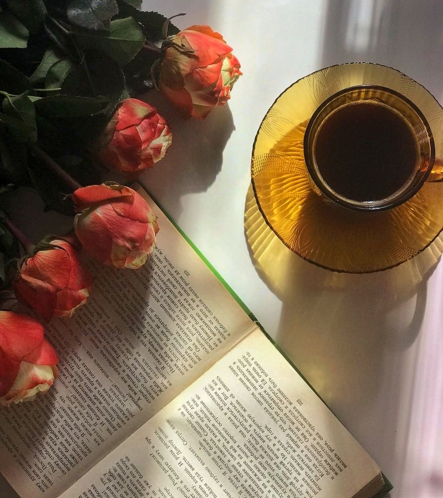 Photograph by АЛЛА ТАРАСЕНКО