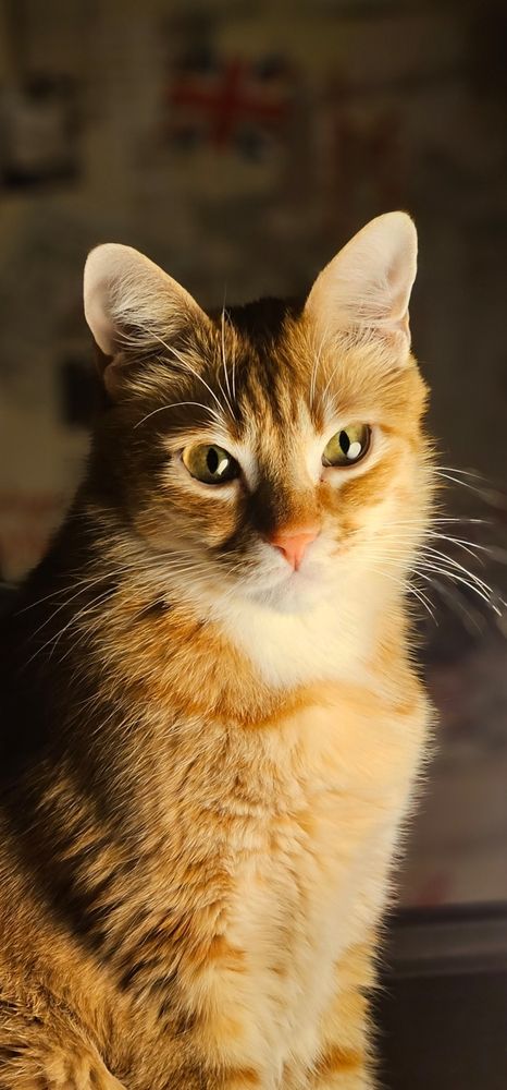 Photograph by Елизавета Васильева