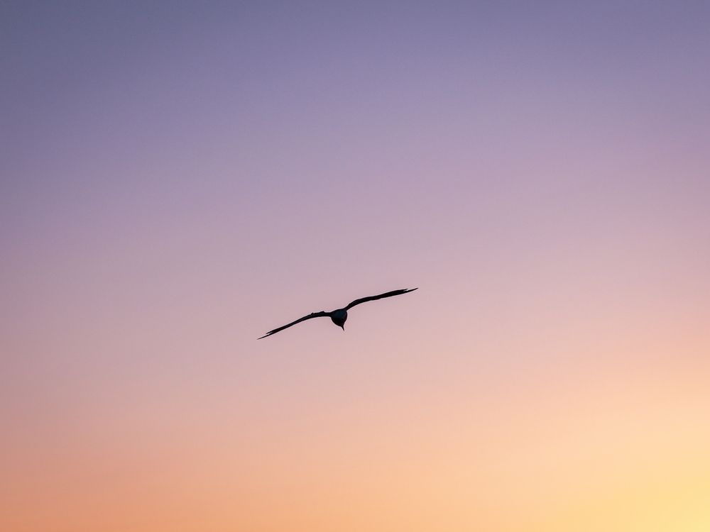 Photograph by Дмитрий Бучнев