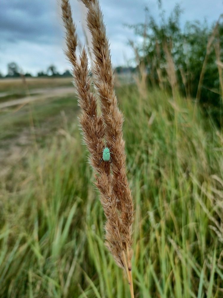 Фотография автора Юлия Денисенко