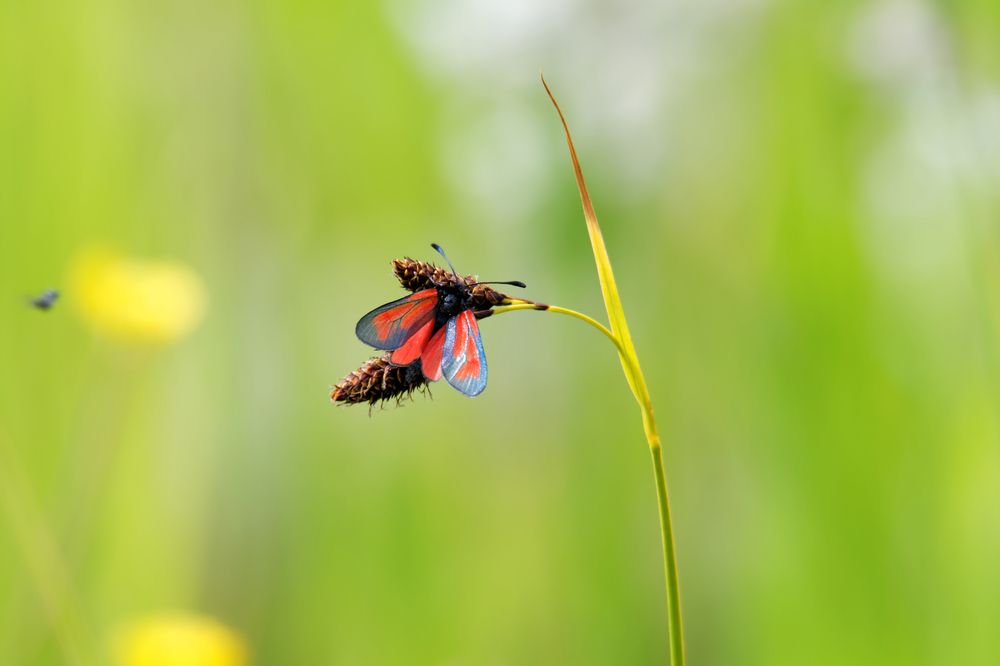 Photograph by Антон Громов