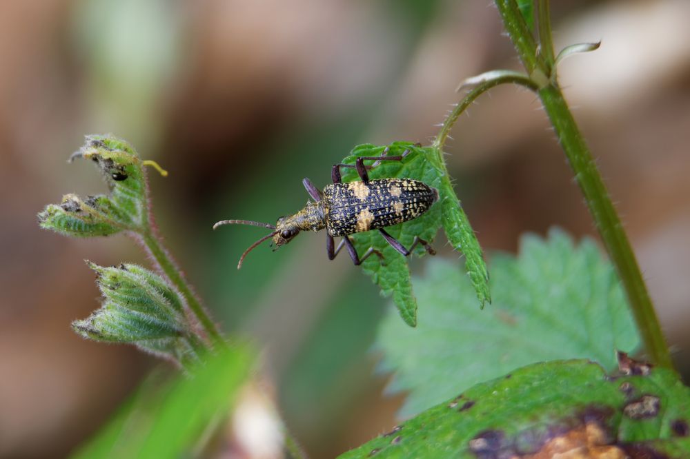 Photograph by Антон Громов