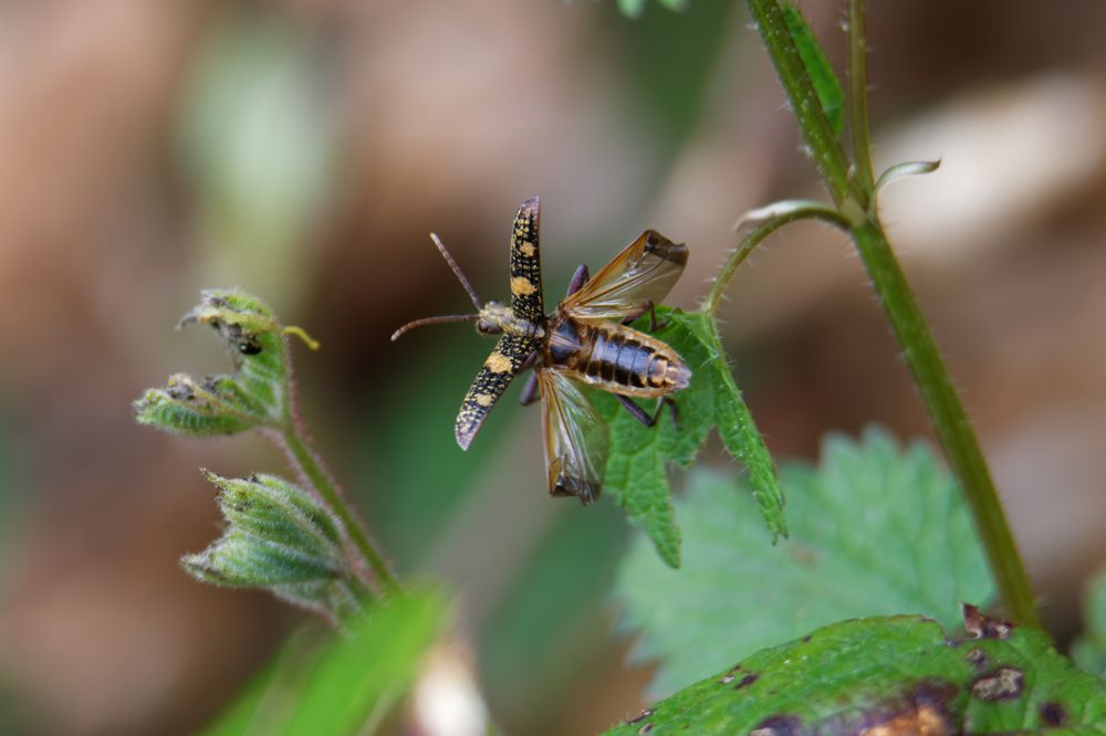 Photograph by Антон Громов