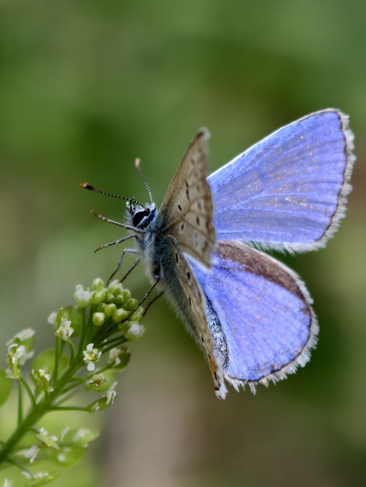 Photograph by Всеволод