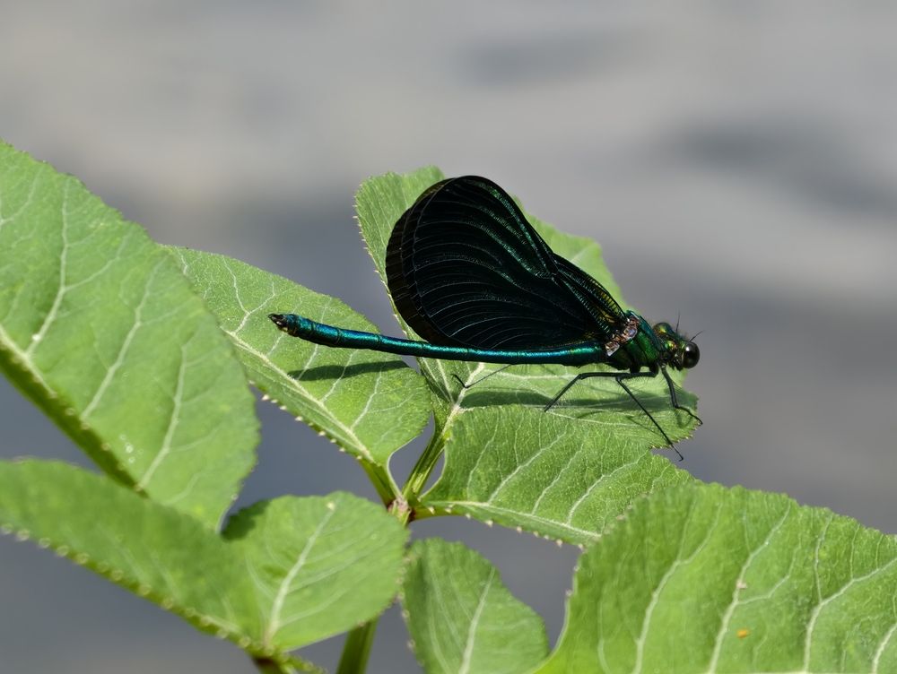 Photograph by Всеволод