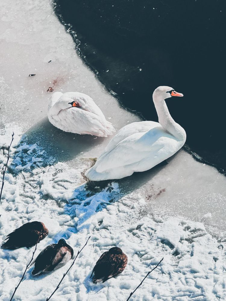 Photograph by IRA CHUDAKOVA