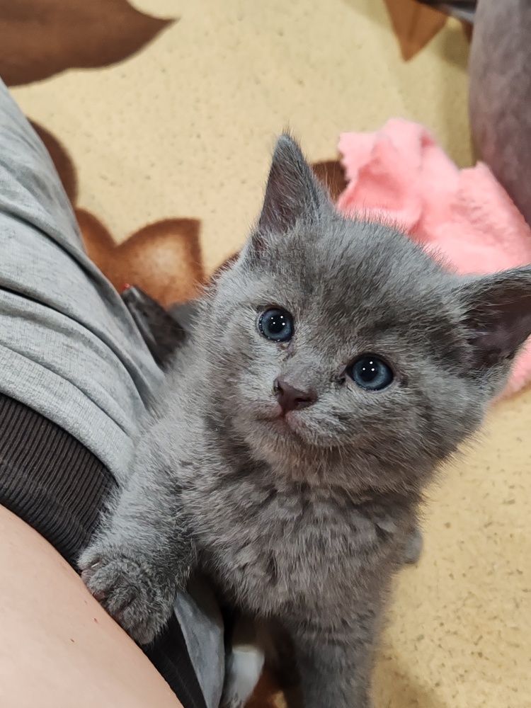 Photograph by Ивашкин Алексей