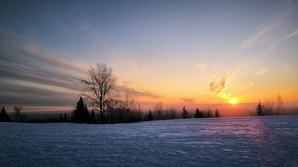 Photograph by ANDREY PERESHEIN