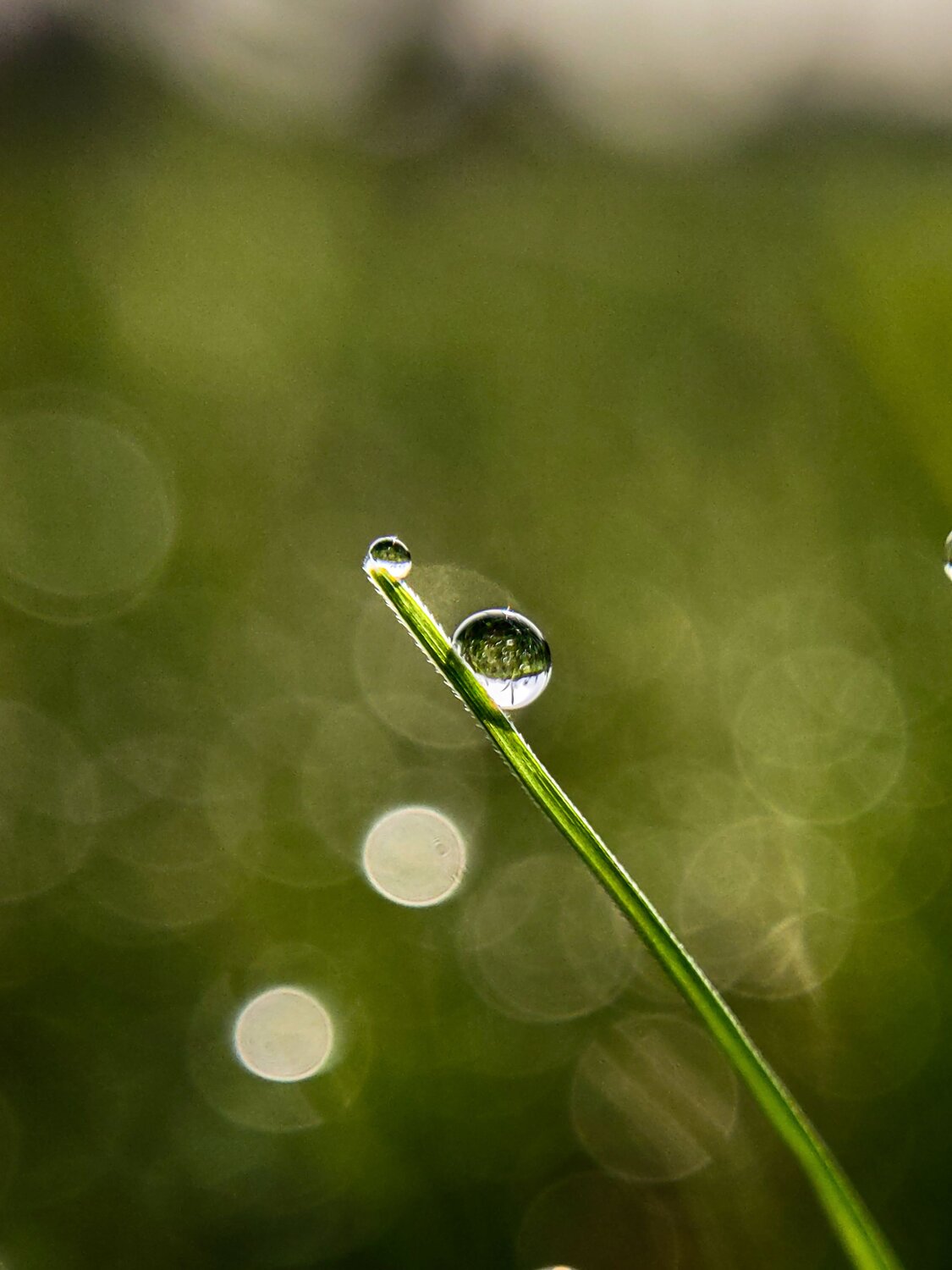 Photo #12042382