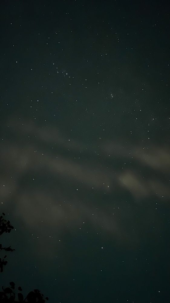 Photograph by Ника Клименко