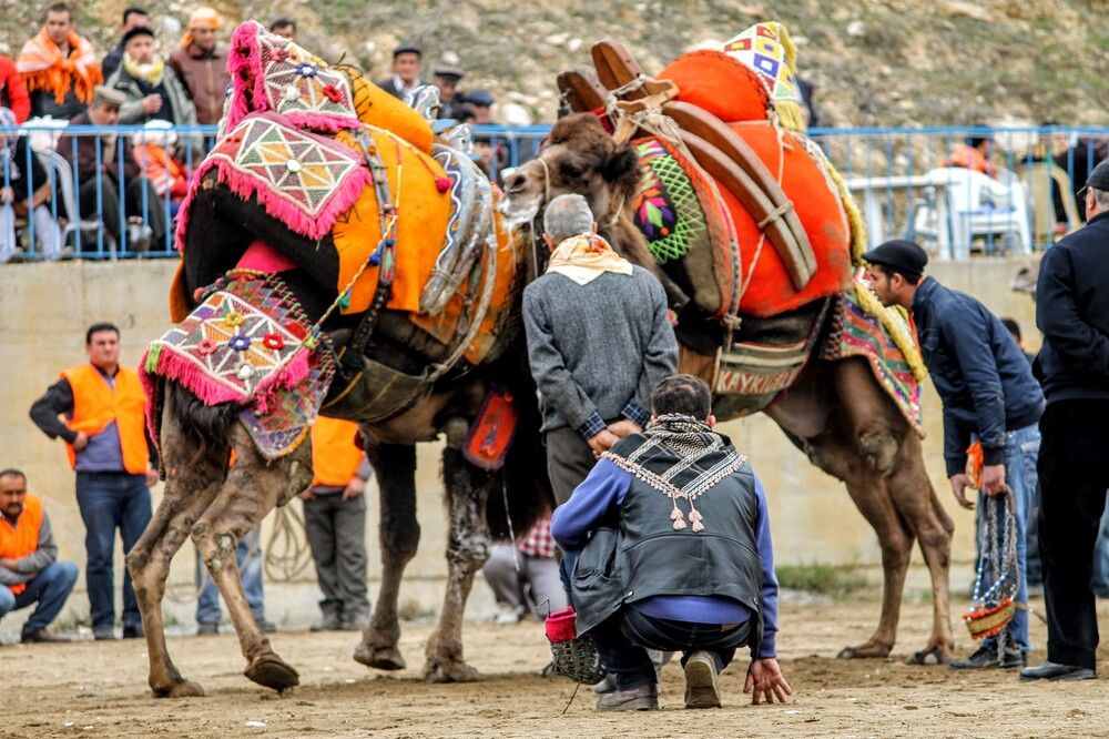 Photograph by volkan akan