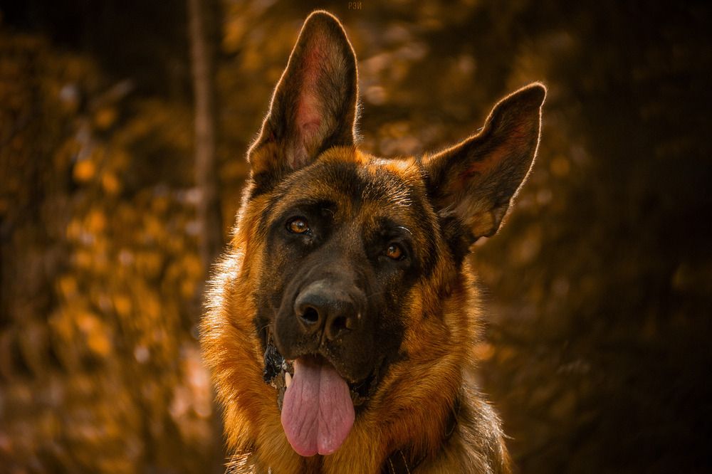 Photograph by Андрей Летов