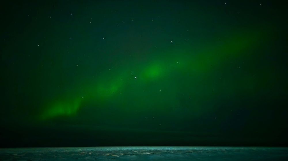 Photograph by ANDREY PERESHEIN