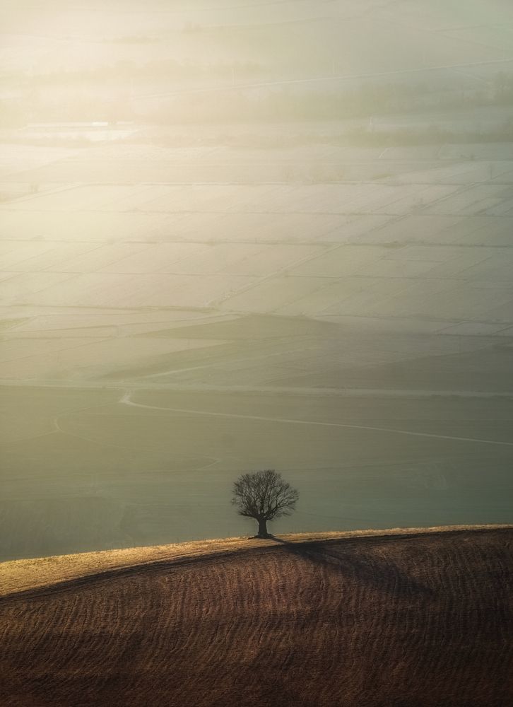 Photograph by hamid