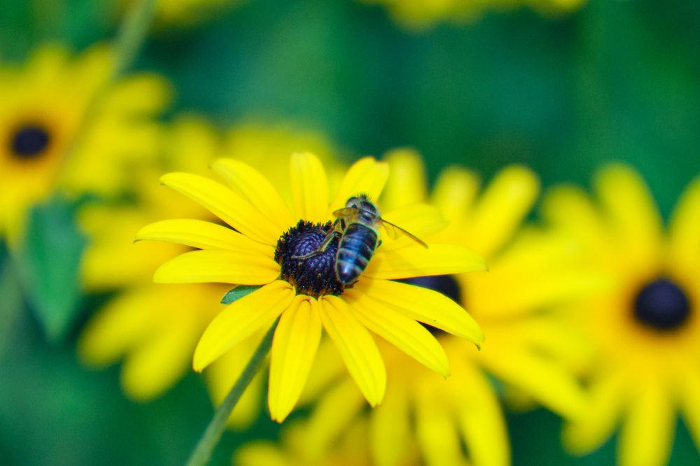 Photograph by Иван Державин