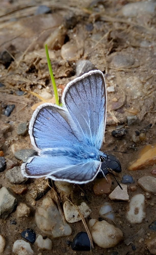 Photograph by Анастасия Дросу