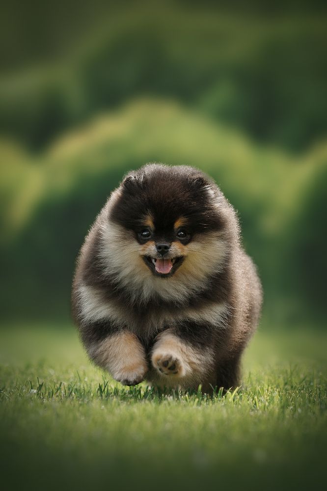 Photograph by Ольга Легенькая