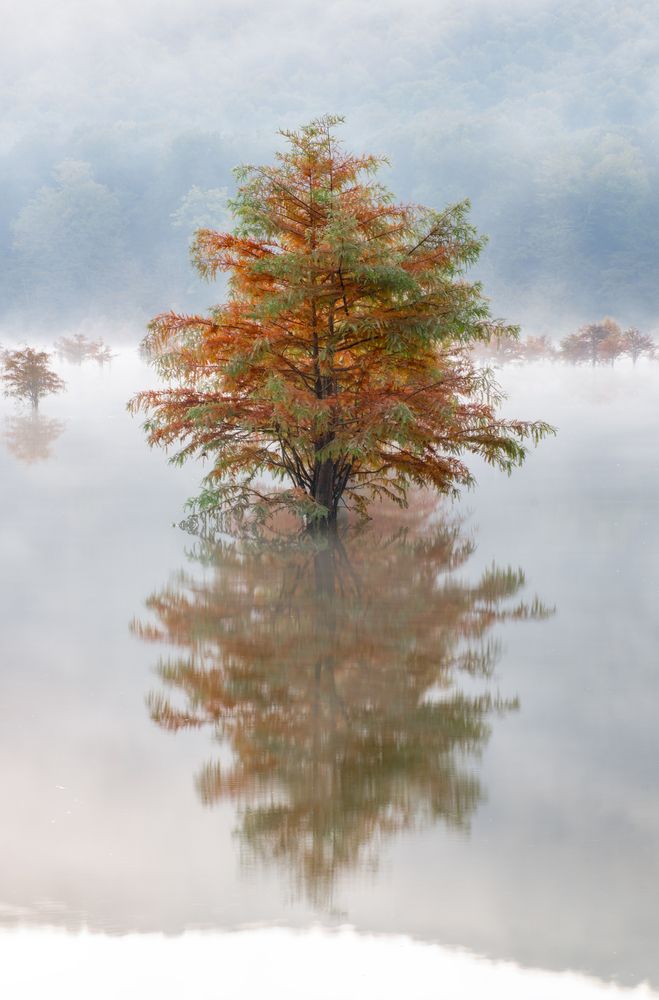 Photograph by hamid