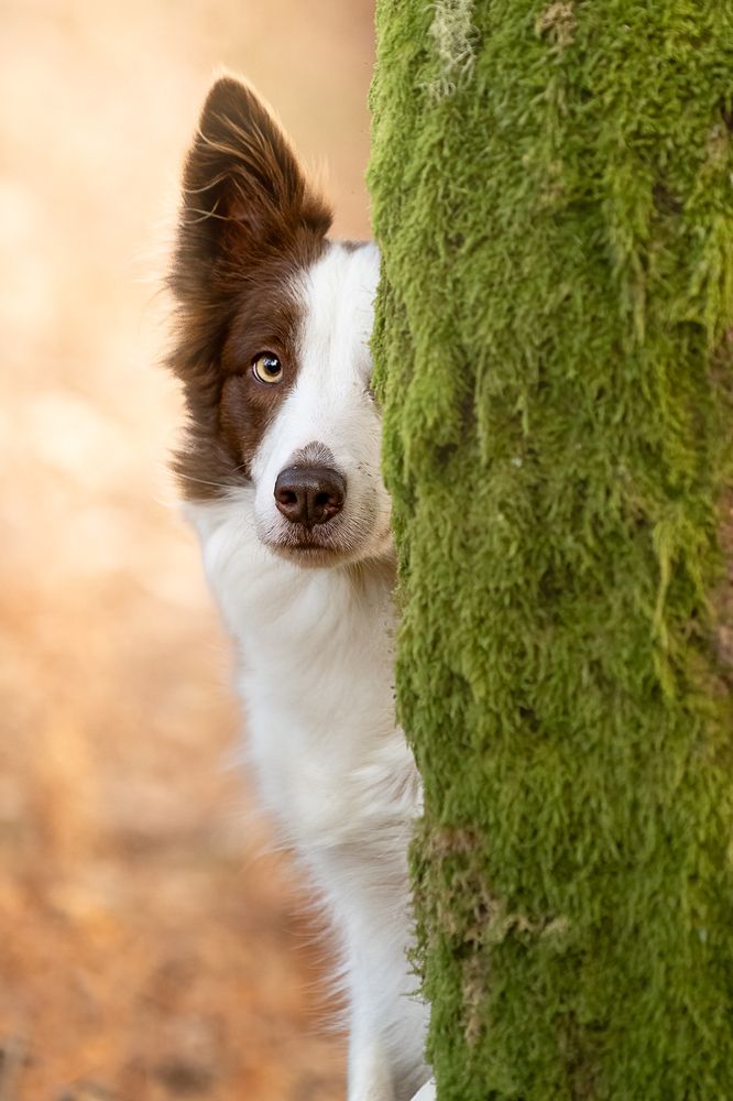 Photograph by Noa Táboas