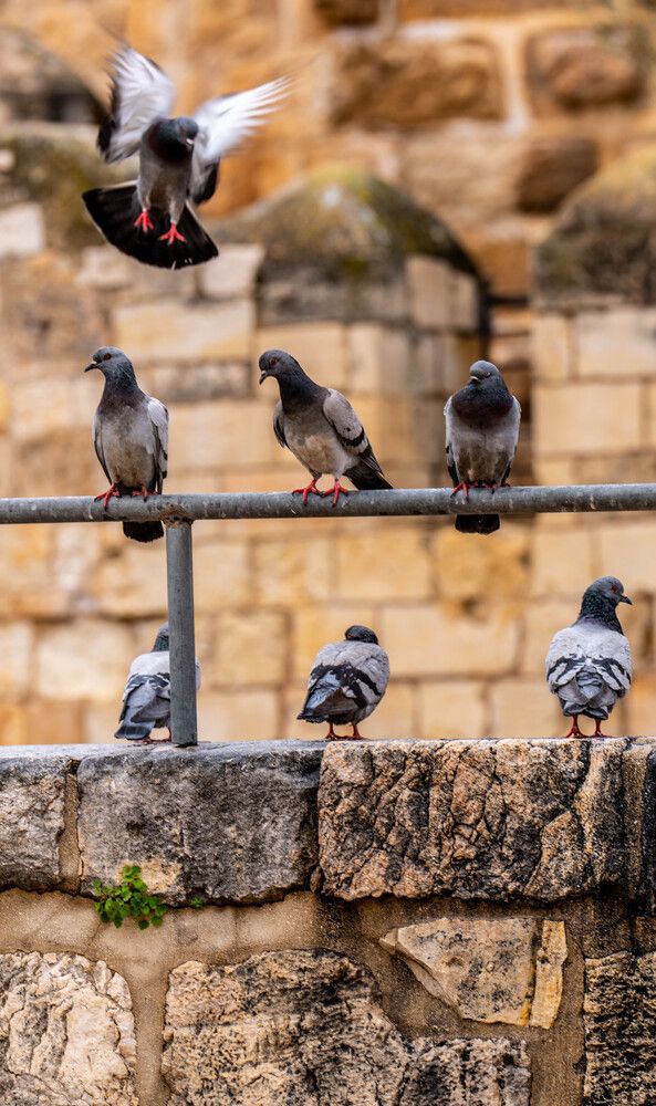 Photograph by Shulkin Igor