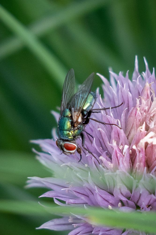 Photograph by Высотских Владимир
