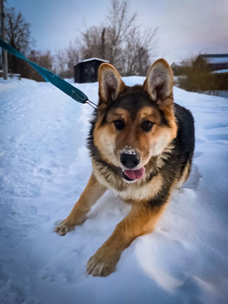 Photograph by Елена Сиушова