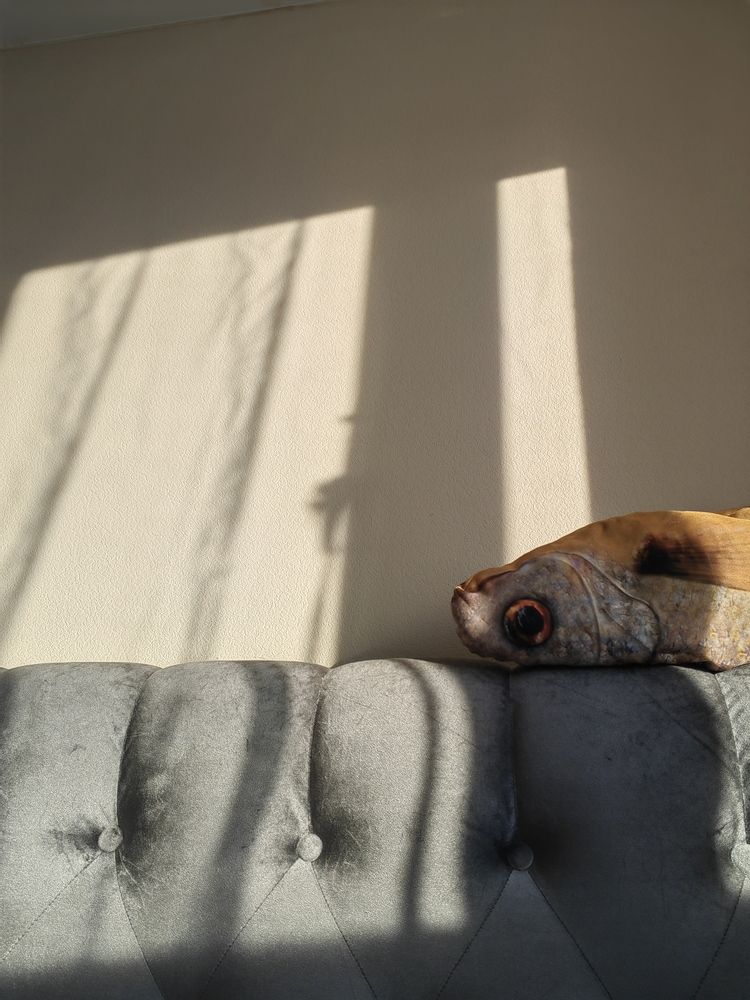 Photograph by Наталья Сергеевна Крылова