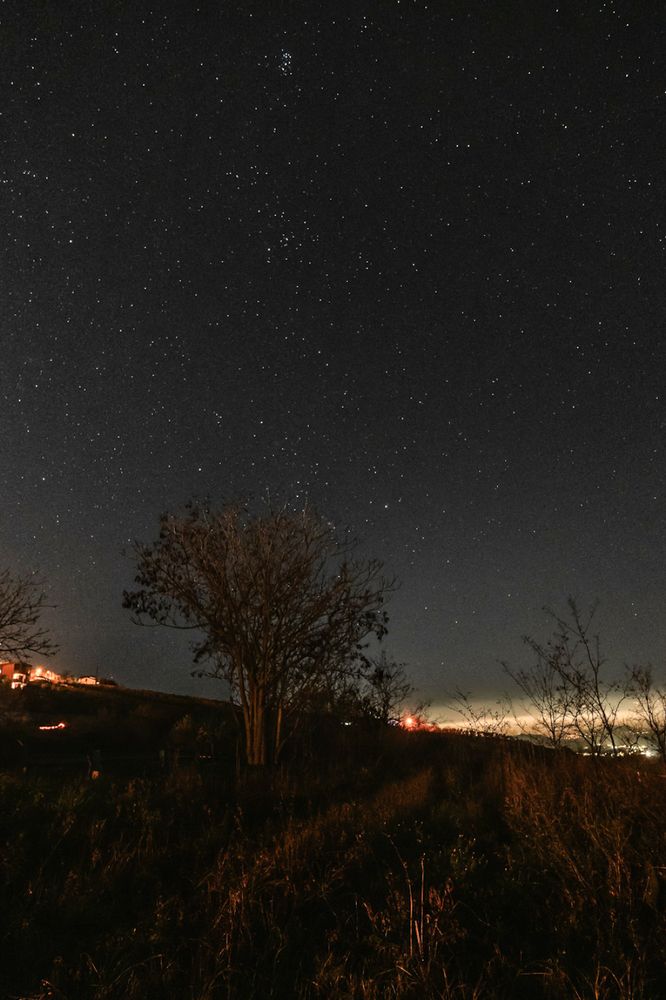 Campo aperto e stellato