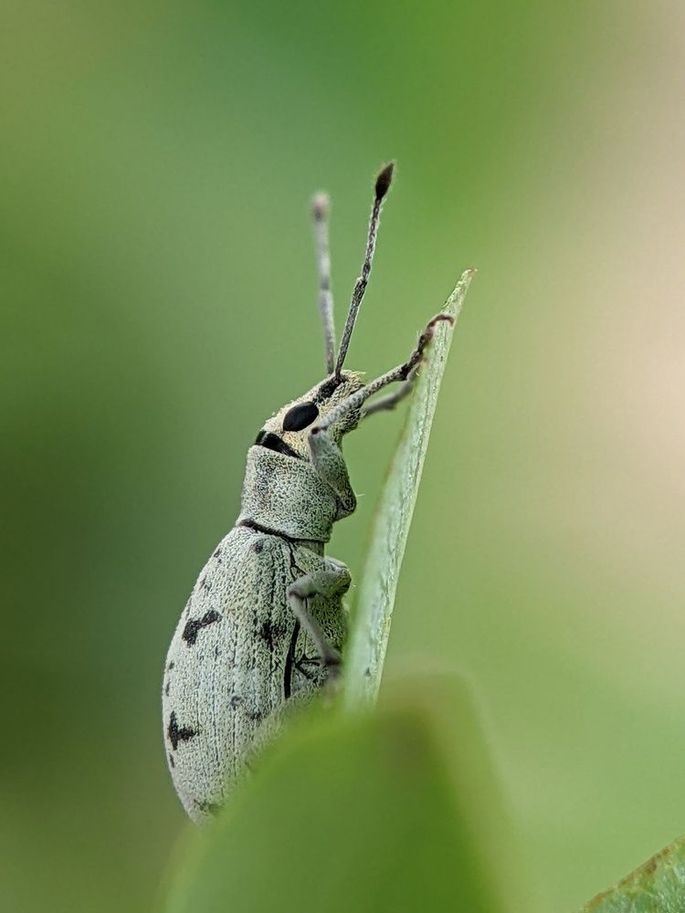 Photograph by Sai Krishna