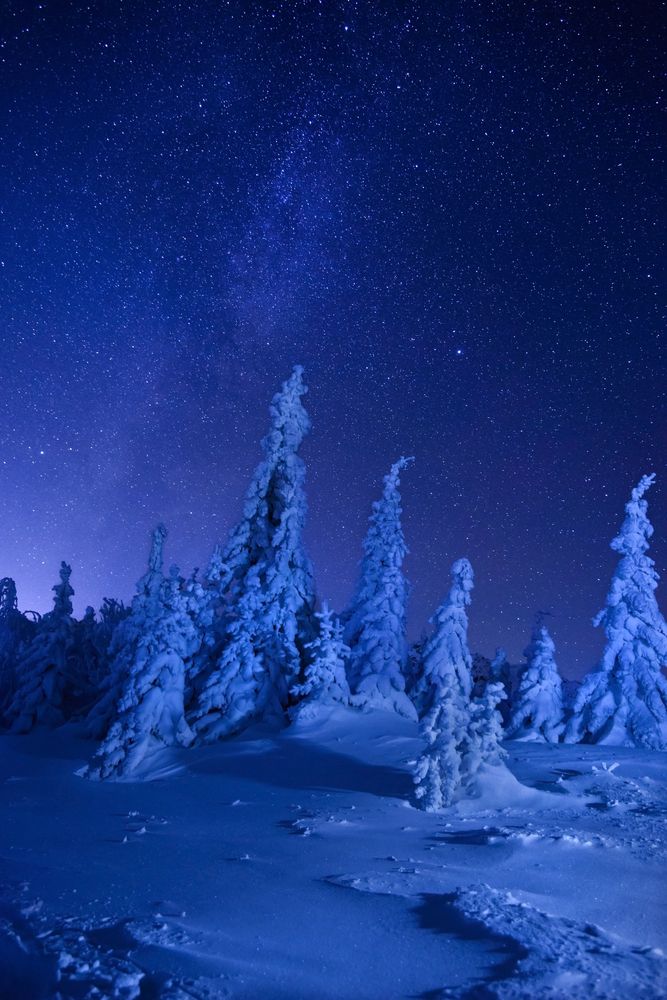 Фотография автора Владимир Драчев