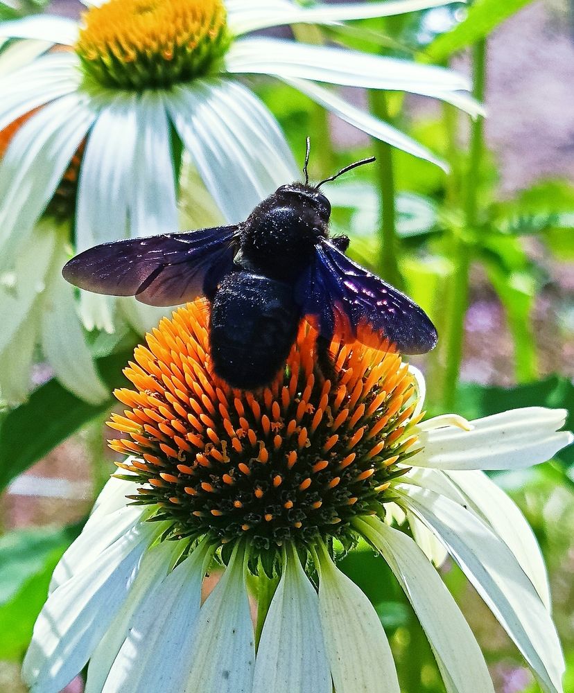 Photograph by Татьяна Пятернёва