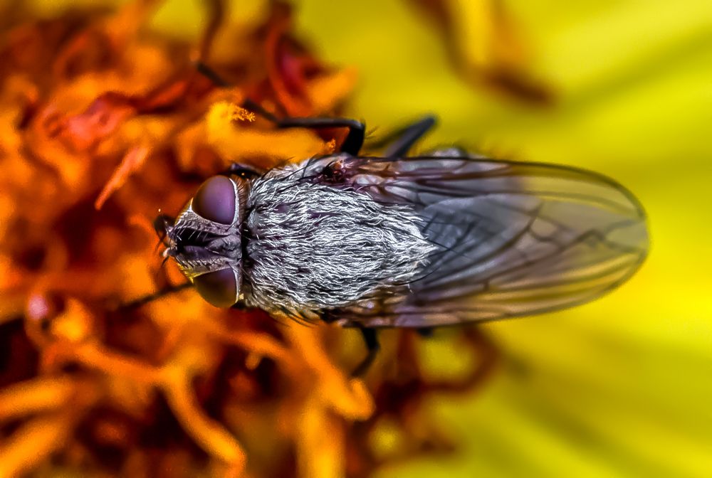 Photograph by Jan Swaczyna