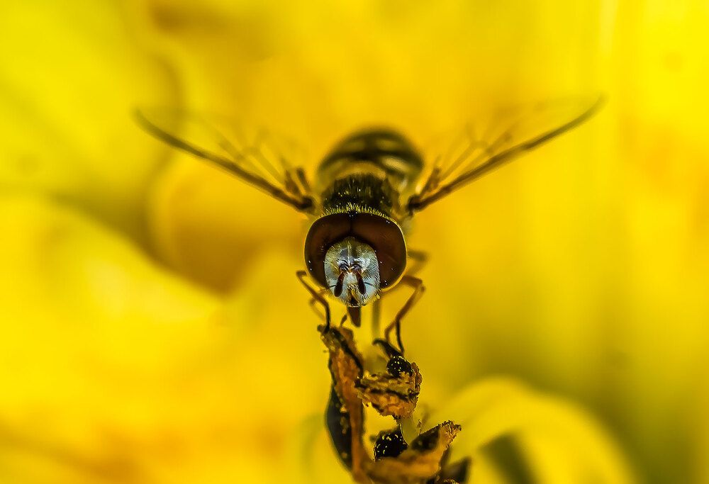 Photograph by Jan Swaczyna