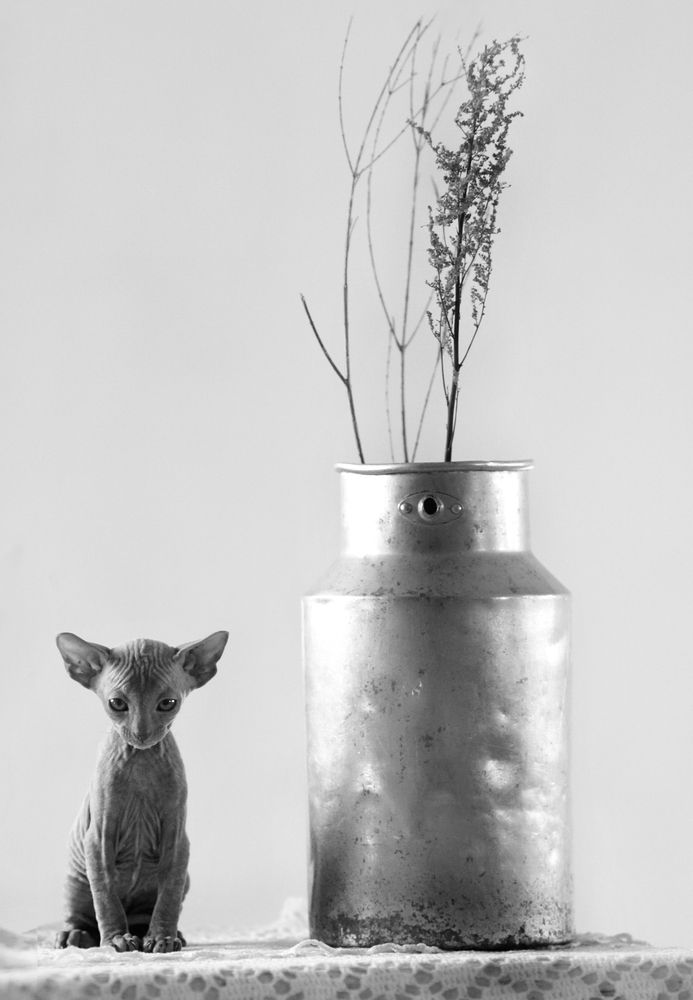 Photograph by POLY DA NOVA