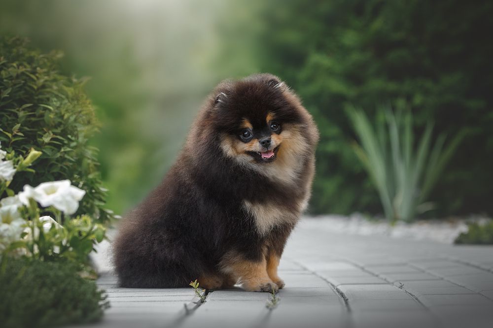 Photograph by Ольга Легенькая