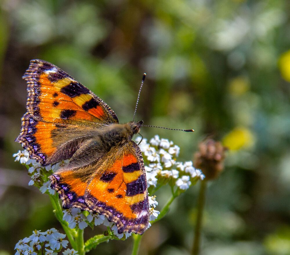 Фотография автора Андрей Меньших