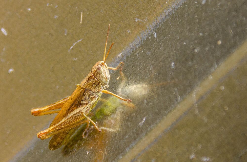Фотография автора Андрей Меньших