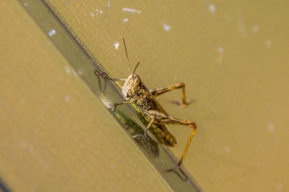 Фотография автора Андрей Меньших