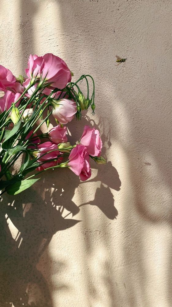 Photograph by Юлия