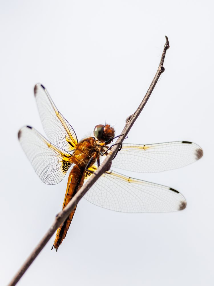 Photograph by Старых Сергей