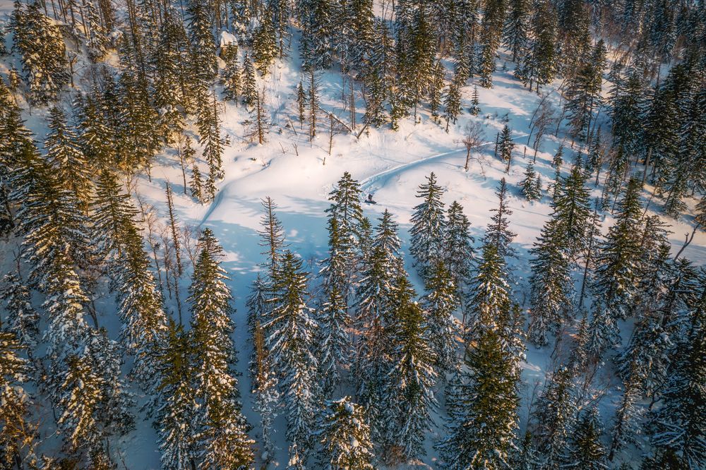 Photograph by Артем Удодов