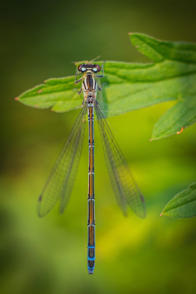 Photograph by Анна Осинцева