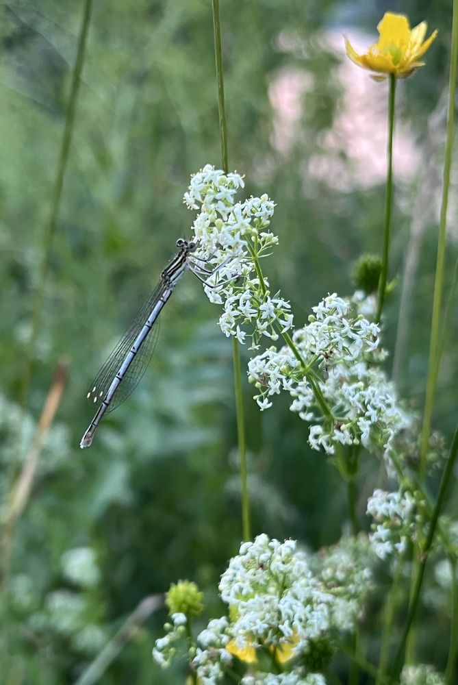 Photograph by Мария Халуторных